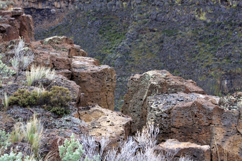 canyon_cliff_382.jpg