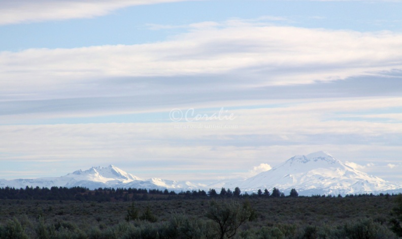 cascade_mountain_range_Oregon_612.jpg