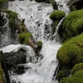 cascades creek 1019