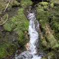 creek 1410