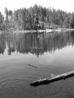Deschutes National Forest, Oregon blk wht 064