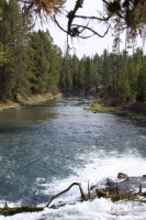 Fall River Oregon 069