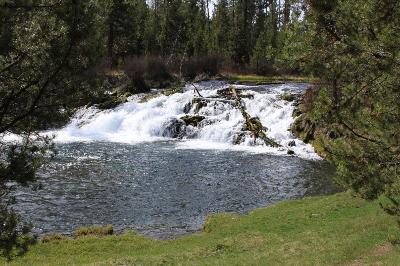 Fall_River_Oregon_195.jpg
