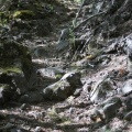 lava rock trail Oregon 827