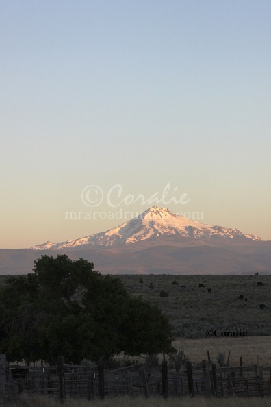 mt jefferson at the old corral at sunrise 020 Sample File.jpg