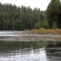 oregon lake 1861
