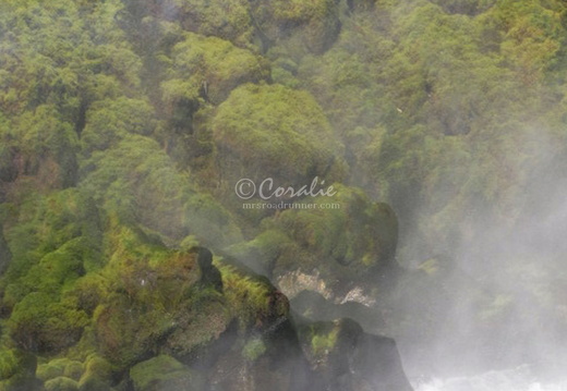 Landscapes - display this album Landscapes