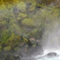 Sahalie Falls Oregon 102