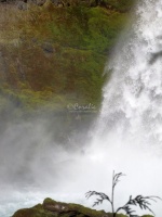 Sahalie Falls Oregon 104