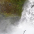 Sahalie Falls Oregon 104
