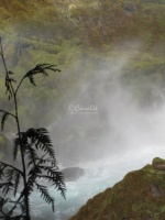 Sahalie Falls Oregon 123