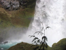 Sahalie Falls Oregon 154