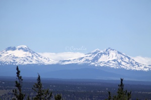 Sisters Mountains Seen in Jefferson County Oregon 919