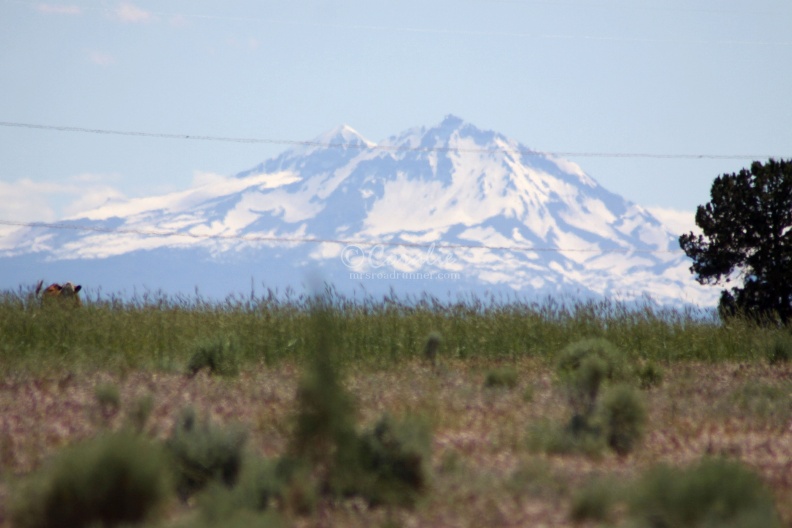 Sisters_Mountains_Seen_in_Jefferson_County_Oregon_1081.jpg