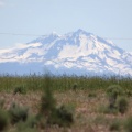 Sisters Mountains Seen in Jefferson County Oregon 1081