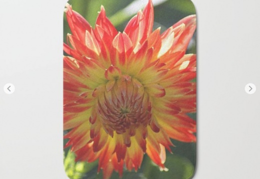 bath mat - display this album bath mat