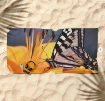 Swallowtail Butterfly On A Lily Flower Beach Towel 2