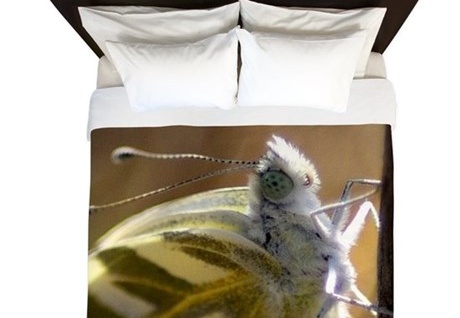 Twin Duvet Cover - display this album Twin Duvet Cover