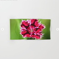 Flashy Dianthus Flower Hand & Bath Towel.jpg