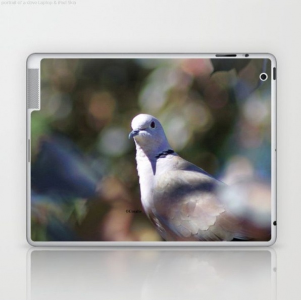 portrait of a dove Laptop & iPad Skin.jpg
