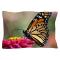 monarch_butterfly_pillow_case.jpg