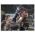 rodeo_roping_puzzle.jpg