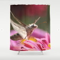 Colorful Moth on a Zinnia Flower Shower Curtain.jpg