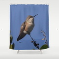 Hummingbird Shower Curtain.jpg