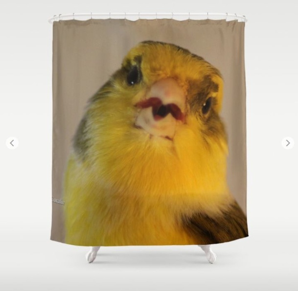 Singing Canary Shower Curtain.jpg