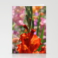 colorful-orange-glad-flowers-cards
