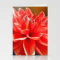 portrait-of-a-dahlia-bloom-cards.jpg