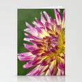 flashy-dahlia-flower-cards.jpg