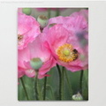 Pink Poppy Flowers With Honeybees Notebook2