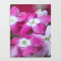 Pink White Verbena Flowers Notebook2