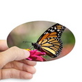 monarch_butterfly_sticker.jpg