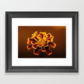 marigold-flower508610-framed-prints.jpg