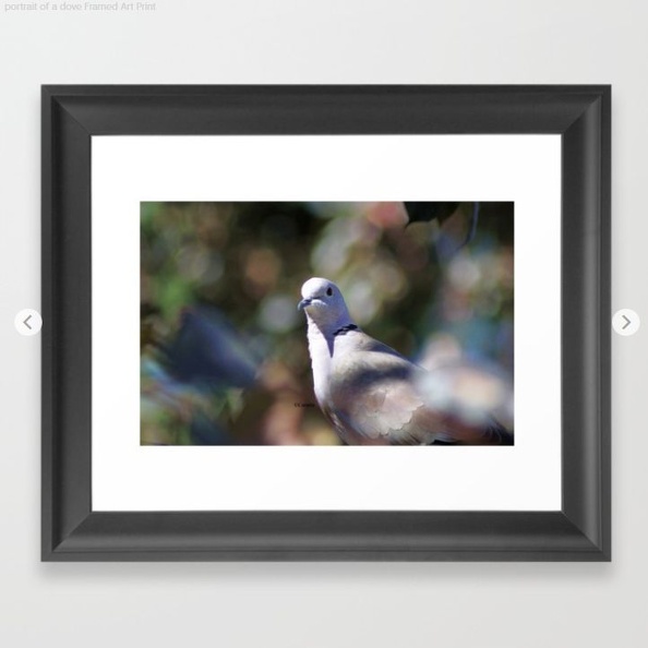 portrait of a dove Framed Art Print.jpg