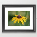 Yellow Daisy Flower Framed Art Print.jpg
