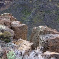 canyon cliff 382