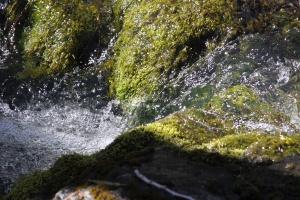 cascade creek 100