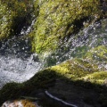 cascade creek 100