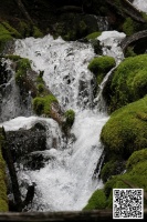 cascades creek 1019