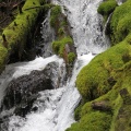 cascades creek 1060