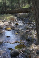 creek 223