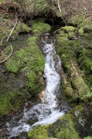 creek 1410