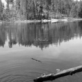 Deschutes National Forest, Oregon blk wht 064