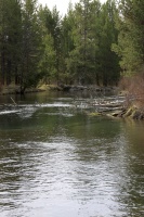 Fall River Oregon 029