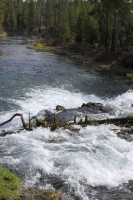 Fall River Oregon 068