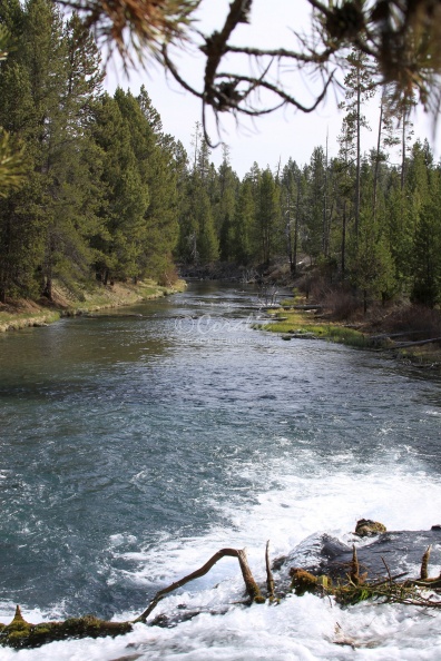 Fall_River_Oregon_069.jpg