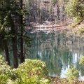 Lake Deschutes National Forest, Oregon 050